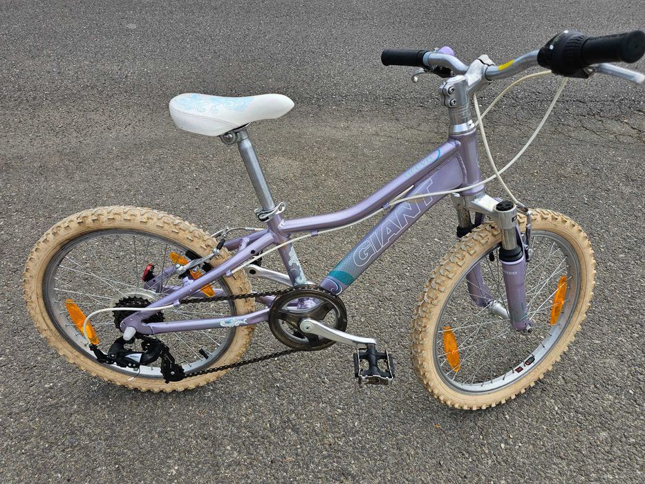 Bicicleta MTB Giant Areva 20’’