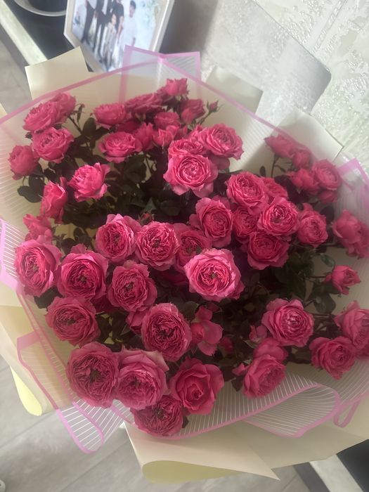 Срочно кустовая роза