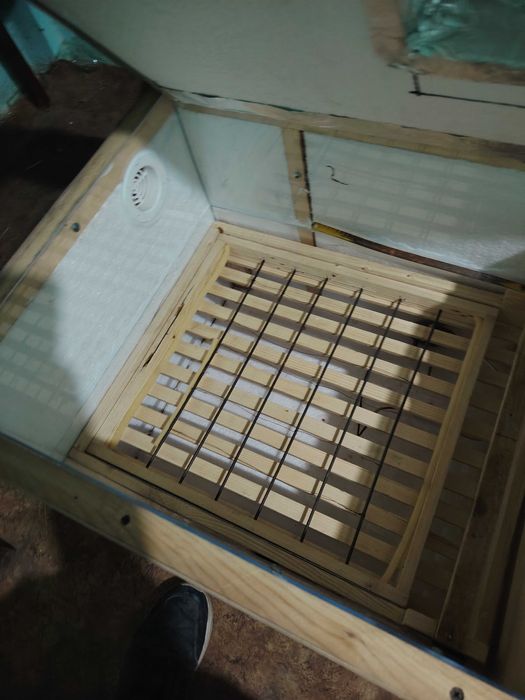 Инкубатор для яиц разного типа