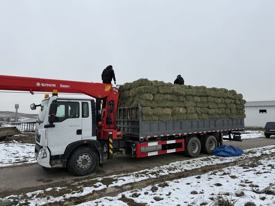 Жоңышқа, шөп, пресс тюк, люцерна