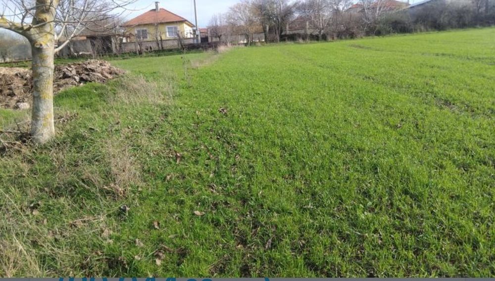 Добре разположен регулиран парцел (2000 кв.м.) на 30 км от гр. Шумен – отлична възможност за тези, които търсят място, където да построят своя нов дом