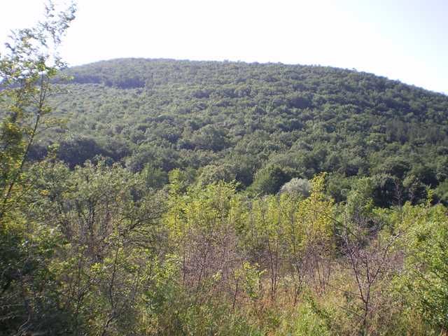 Продава се Парцел в Стара Загора, Аязмото - 6702 кв.м за 5 €/кв.м - Снимка #5