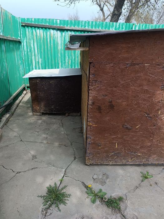 Вольер для собак