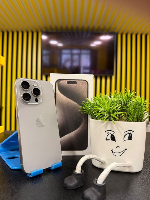 IPhone 15Pro, 256гб, 81%