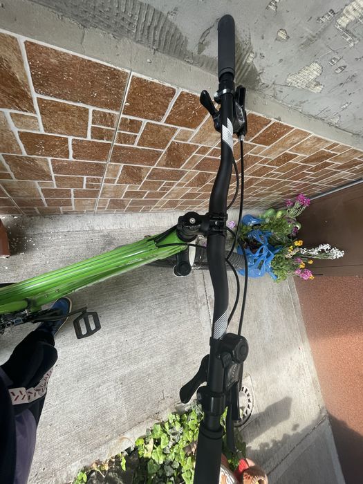 Bicicleta dexter cross verde