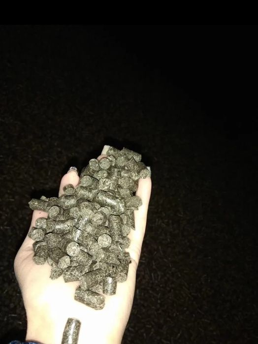 Лён.Платный чат!Все корма.