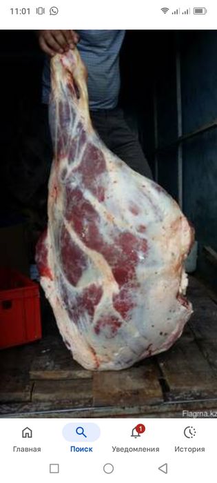 Продам мясо говядина