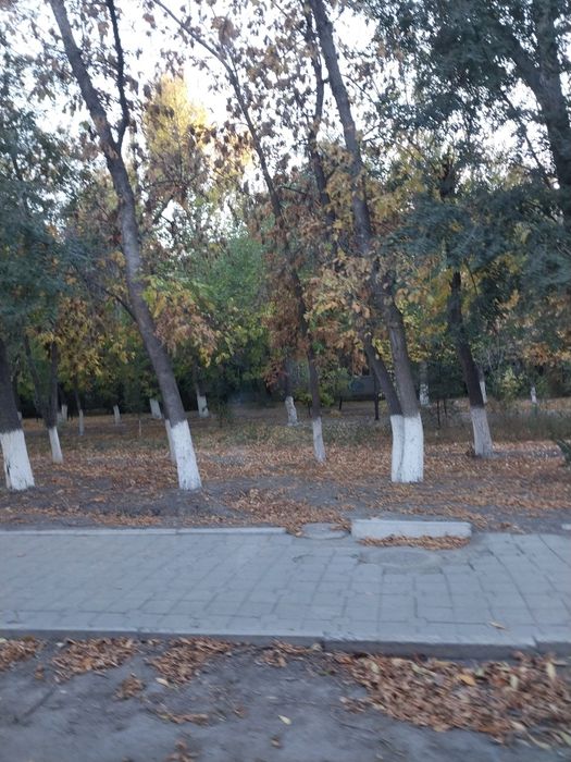 Земельный участок