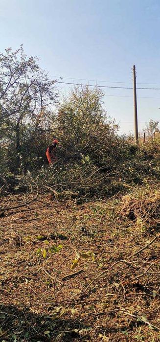 Почистване на дворове /дворни места/, извозване на храсти и отпадъци.