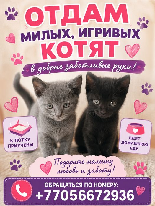 Отдам в добрые руки