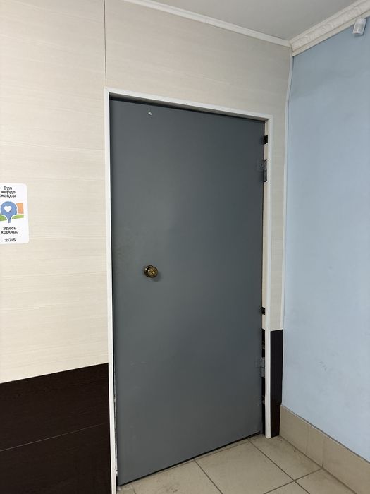 Железный дверь 2 шт.