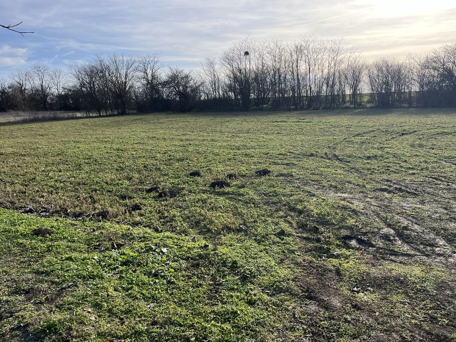 Продава се Къща в с. Искър, Област Варна - 80 кв.м за 160 €/кв.м - Снимка #2