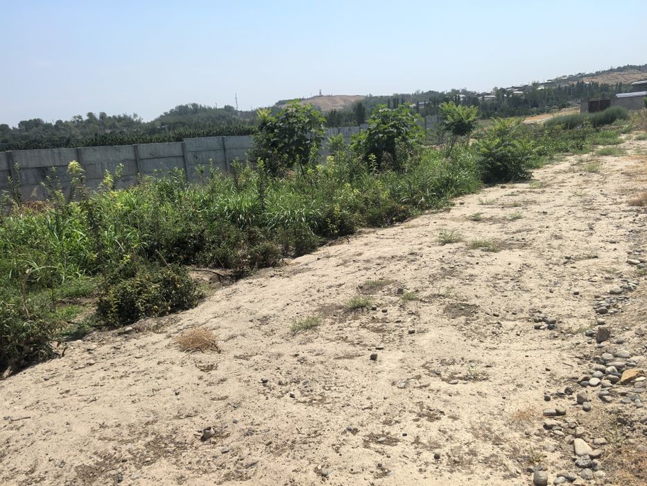 Боғишамол даҳасида Қуруқ ер сотилали