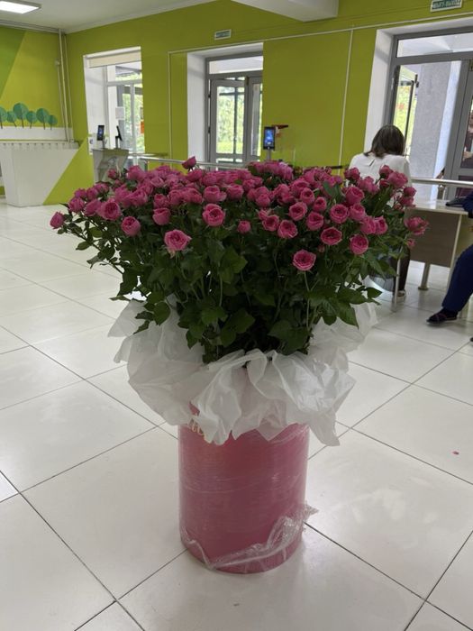 Гул сатылады улкен гигант коробкада