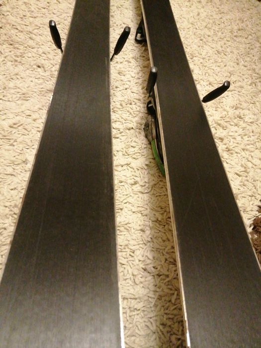 Schiuri Fischer Progressor