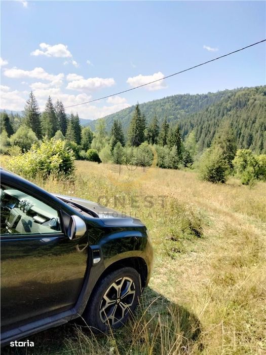 Teren de vanzare pt cabana pe Valea Ilvei