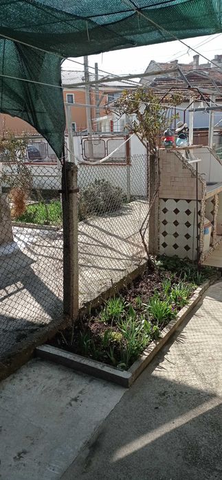 Продава се Къща в Силистра, Римска гробница - 102 кв.м за 600 €/кв.м - Снимка #5