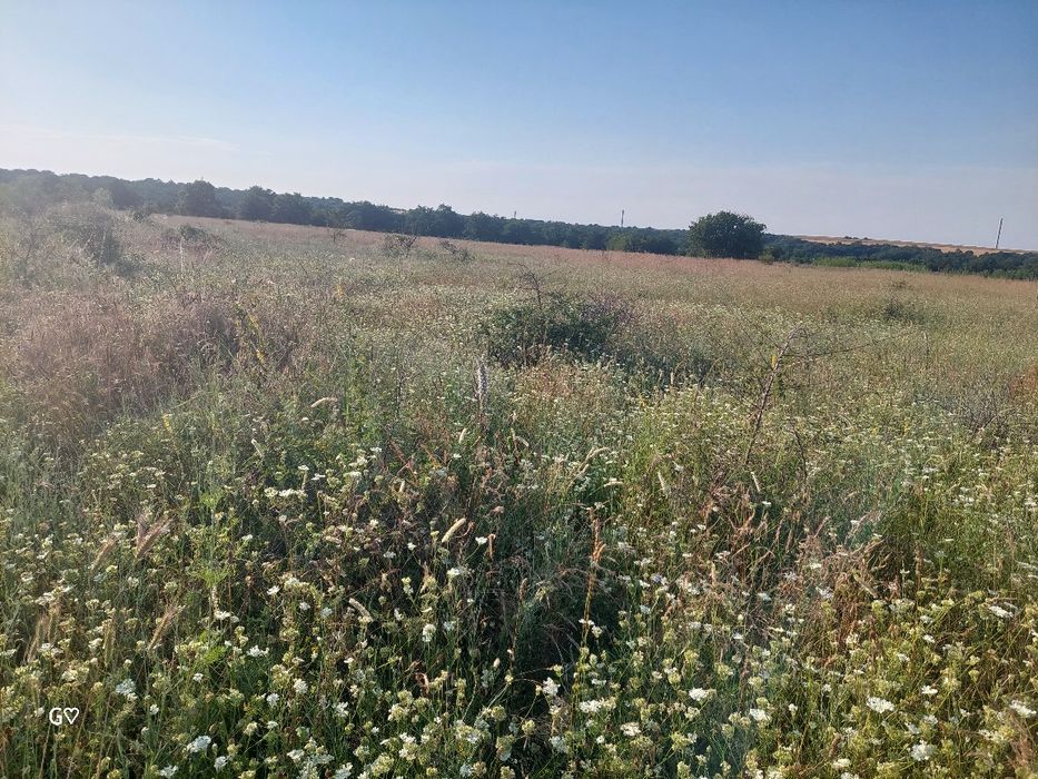 Парцел 10 декара с. Новаково