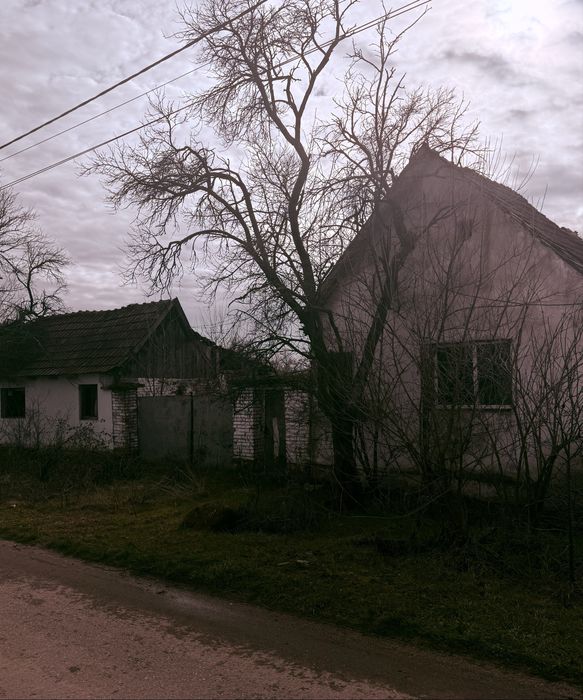 Casa cu pamant 1400m.p Sat Rapsig