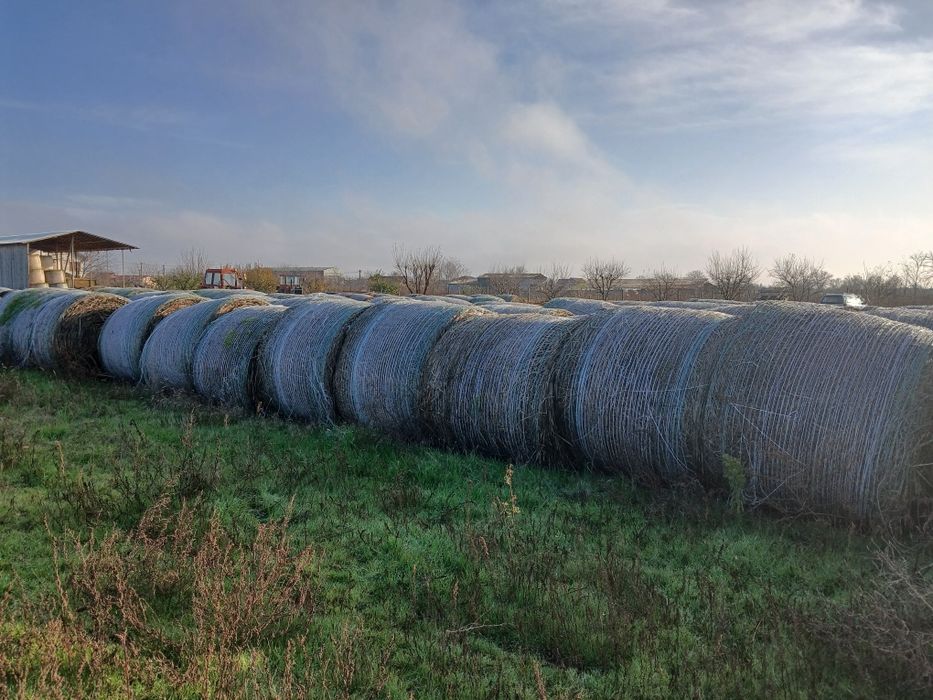 Vind baloti de ovaz și baloti de lucerna