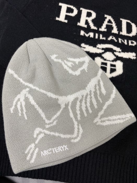 серая шапка arc teryx