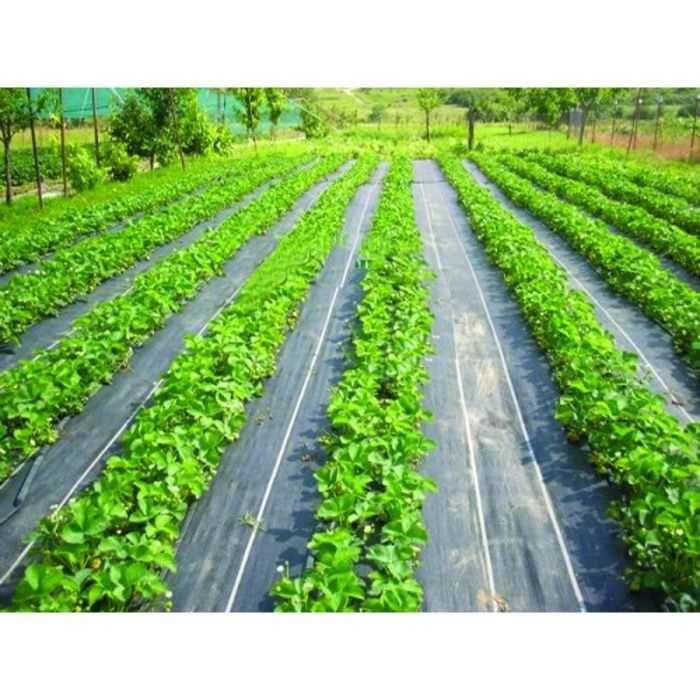 Agrotextil/Folie Anti-Buruieni Livrare Rapida Garantie