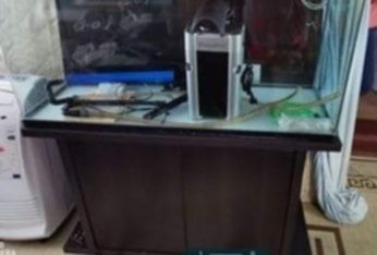 Acvarii diferite dimensiuni de la 10 litri la 250 de litri