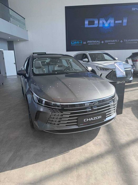 BYD Chazor Champion	55km Active Кредитные ставки от18,9% Зимняя Акция!
