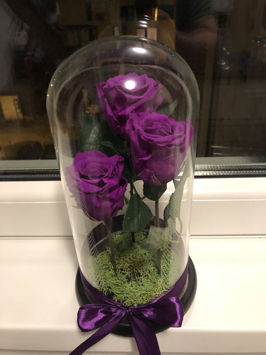 Buchet 3 criogenati in cupola cristalina 250 lei