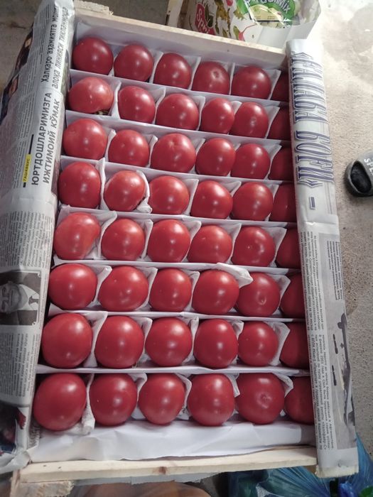 Bozor zakazga oborib beramiz