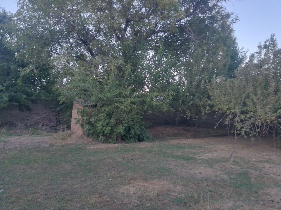 ховли уй сотилади