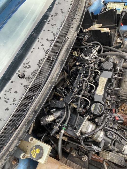 Форд фокус 1.6 tdci на части