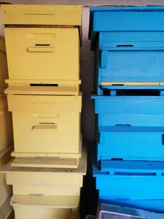 60 броя пчелни кошери Дадан Блат