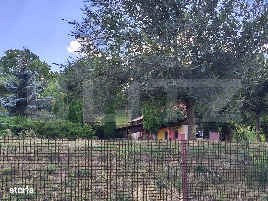 Teren de vanzare, 6500 mp cu livada, zona Mihai Viteazu