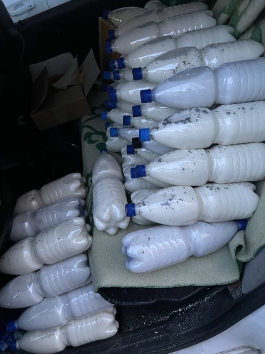 Қымыз кымыз Құрт Май