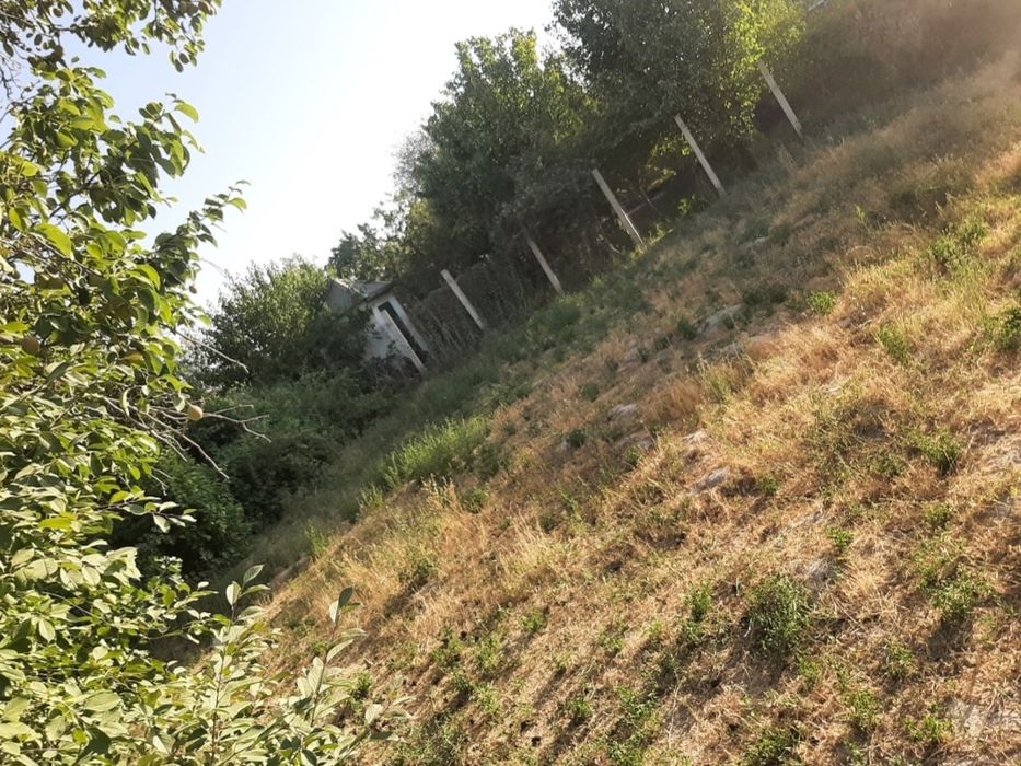 5 сотох дача сотилади яна 15 сотох боги билан дача сотилади кимга кер