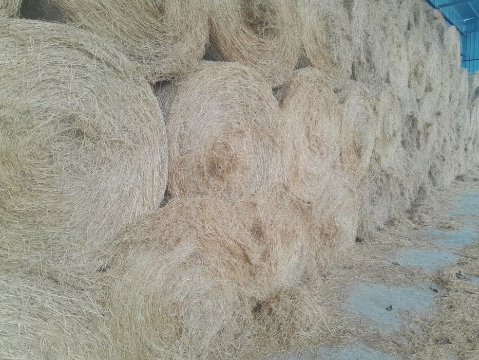 Предлагаме сено големи бали двоен размер