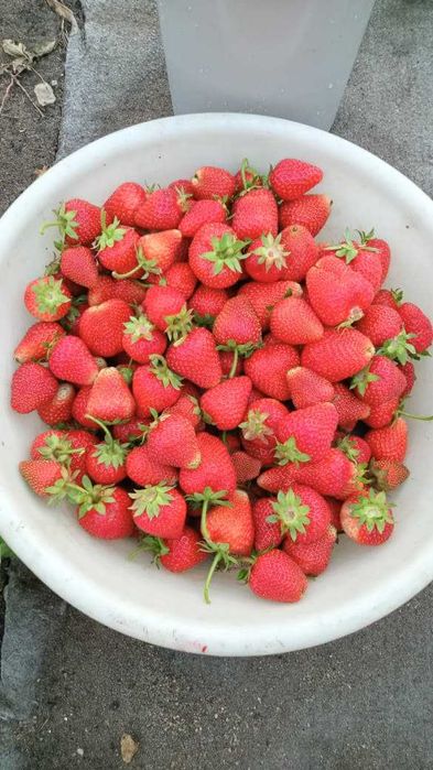 продам шикарный дом