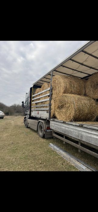 Baloti fan buni Rotunzi min.40.Or Lucerna.Drep.500 La TIR>RO;UE

Balot