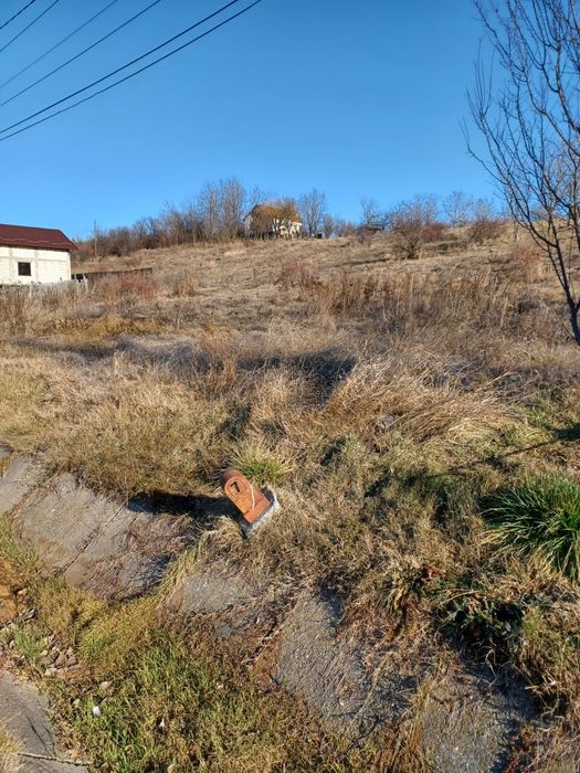 De vânzare 1000mp Mioveni