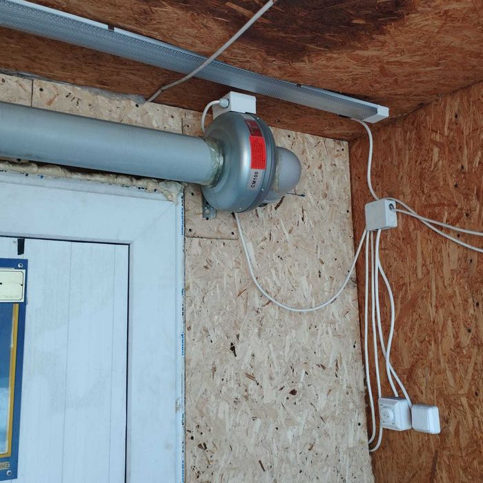 грибница в контейнере