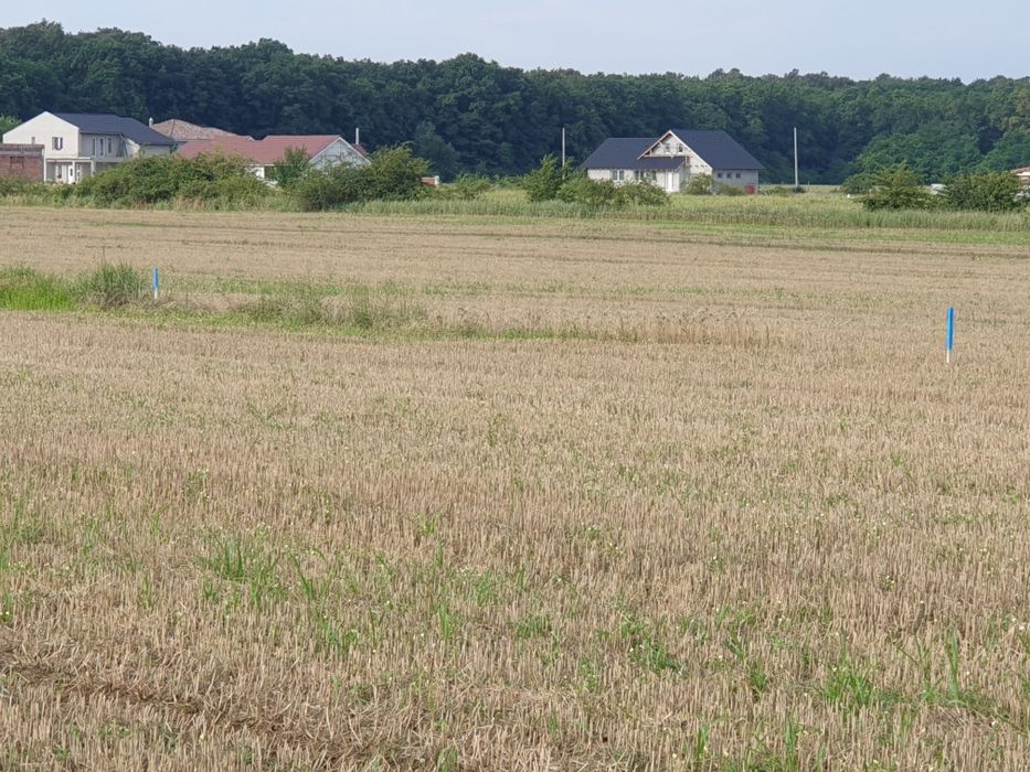 Vand teren extravilan Cartierul Grigorescu cu întrare din str.Hack Halas Gyula