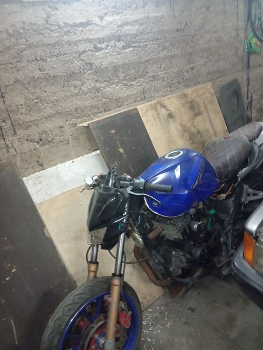 продам Рейсер фалькон