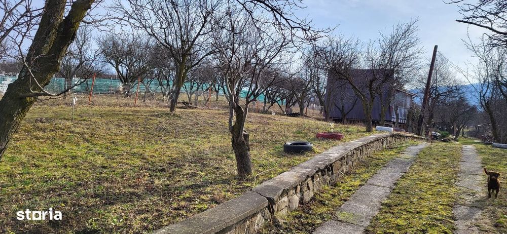 Teren Intravilan 43Ari zona Ortelec-Zalau intre case 4800eur/ar