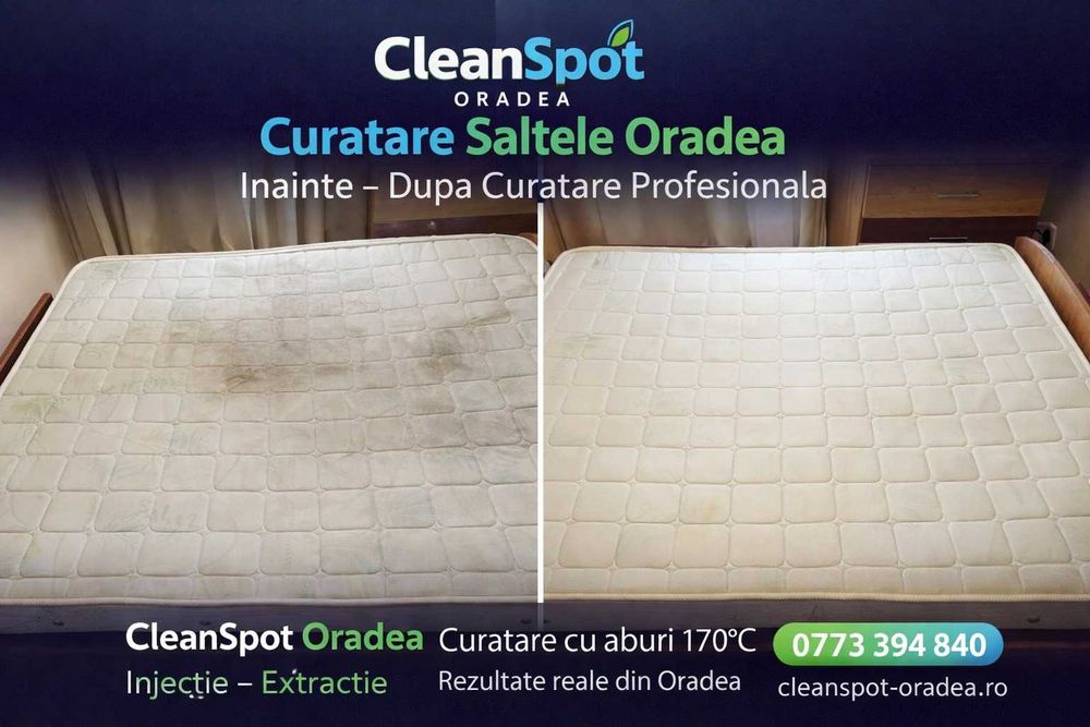 Curățare și Spălare Tapițerie în Oradea – Auto & Canapele Saltele Detailing Interior Clean Spot Igienizare la Domiciliu