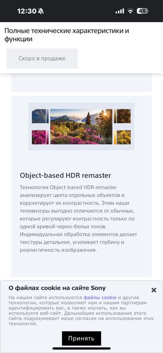 Телевизор Sony KD75XH9505BR2