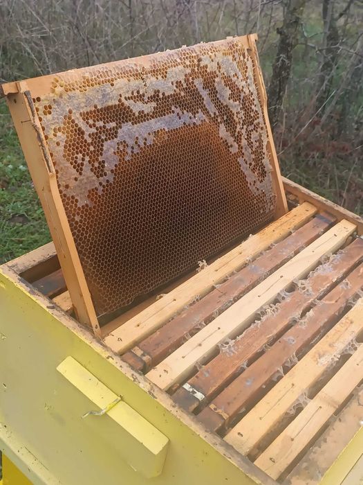 Продавам кошери ДБ 10 рамкови