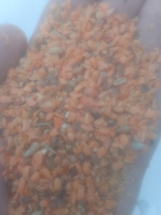 Зерноотходы Отходы Сечка Полова