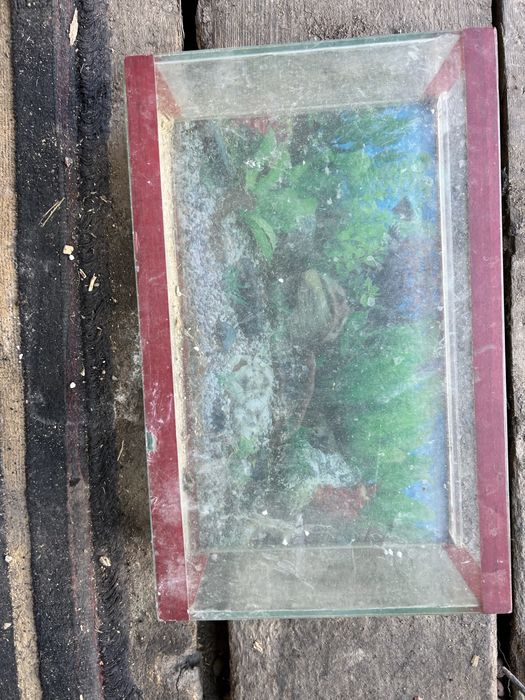 Аквариум для рыб