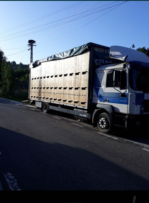 Vând camion apicol
